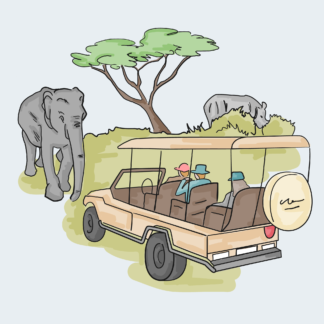 Safari - August 1 to August 4